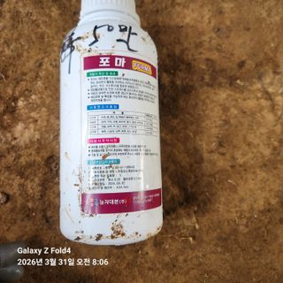 김성훈님의 기타작물 · 영농일지 작성글 사진