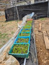 김종협님의 작성글 사진