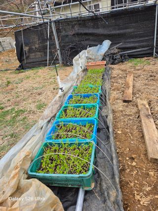 김종협님의 기타작물 · 영농일지 작성글 사진