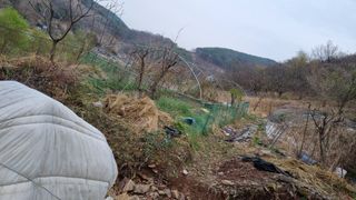 김동명님의 기타작물 · 영농일지 작성글 사진