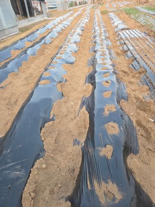 정민지호맘님의 작성글 사진