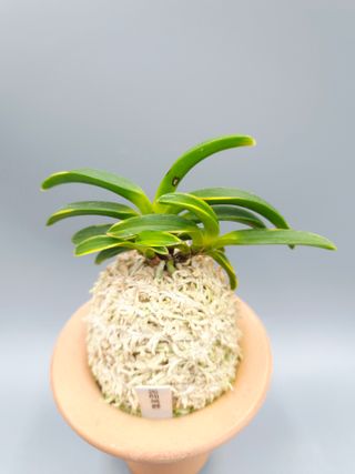 윤의용님의 기타작물 · 영농일지 작성글 사진