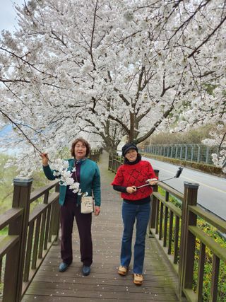 김영암님의 기타작물 · 영농일지 작성글 사진