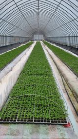 박미연님의 작성글 사진