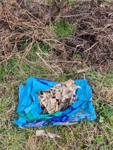 상숙님의 작성글 사진