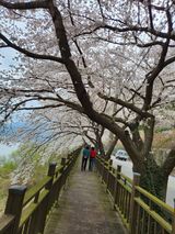 김영암님의 작성글 사진