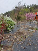 팜모닝 기타작물·영농일지 게시글 이미지