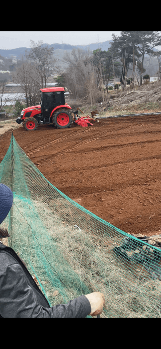 송강섭님의 기타작물 · 영농일지 작성글 사진