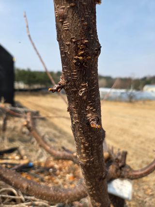 정민지호맘님의 기타작물 · 영농일지 작성글 사진