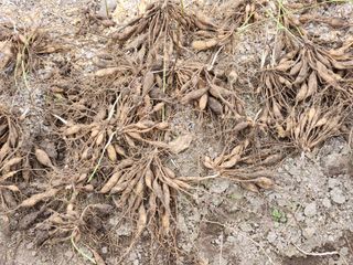 이창신님의 작성글 사진