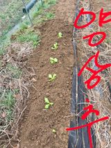 행복하게~님의 작성글 사진