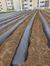 팜모닝 기타작물·영농일지 게시글 이미지