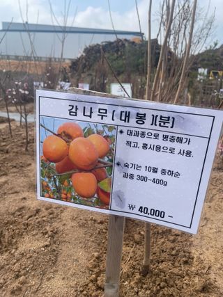 송강섭님의 기타작물 · 영농일지 작성글 사진