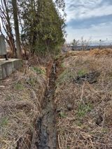 벼7893님의 작성글 사진