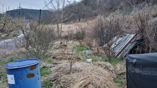 김동명님의 기타작물 · 영농일지 작성글 사진