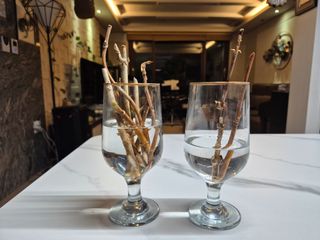 전승조님의 기타작물 · 영농일지 작성글 사진