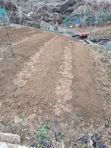 팜모닝 기타작물·영농일지 게시글 이미지