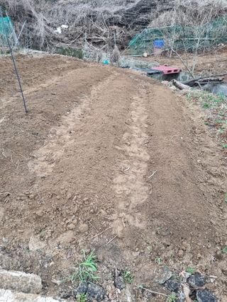 폭포수 아래님의 기타작물 · 영농일지 작성글 사진