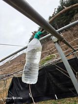 김종협님의 작성글 사진