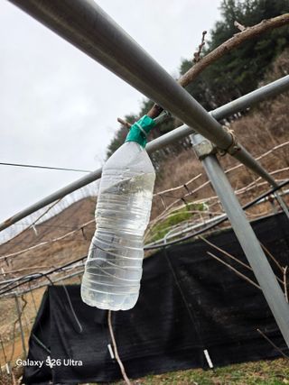 김종협님의 기타작물 · 영농일지 작성글 사진