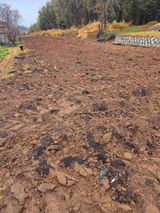 팜모닝 기타작물·영농일지 게시글 이미지