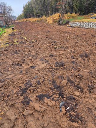 홍순오님의 기타작물 · 영농일지 작성글 사진