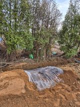 벼7893님의 작성글 사진