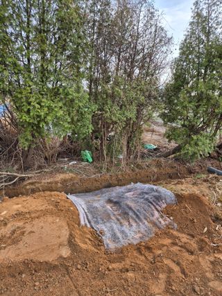 벼7893님의 기타작물 · 영농일지 작성글 사진