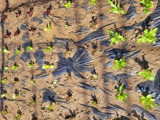 김춘성님의 작성글 사진