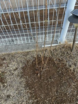 이익수님의 작성글 사진