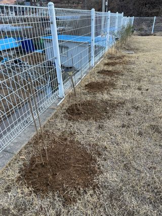 이익수님의 사과 · 영농일지 작성글 사진