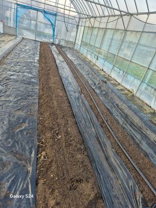 한양희님의 기타작물 · 영농일지 작성글 사진