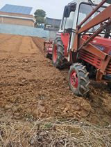 팜모닝 기타작물·영농일지 게시글 이미지