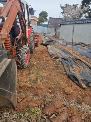 이광님의 기타작물 · 영농일지 작성글 사진