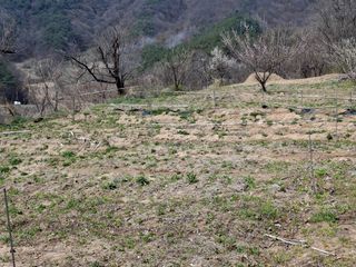 형남영님의 기타작물 · 영농일지 작성글 사진