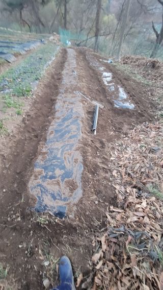 서초농원님의 기타작물 · 영농일지 작성글 사진