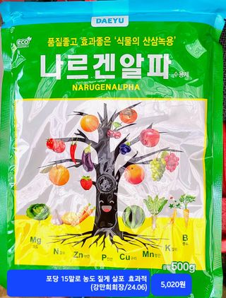 kia1588님의 귤 · 영농일지 작성글 사진