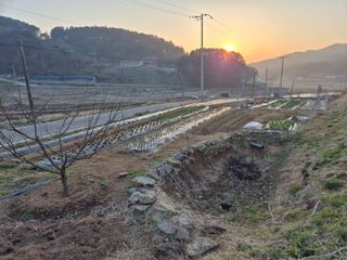 주병민님의 기타작물 · 영농일지 작성글 사진