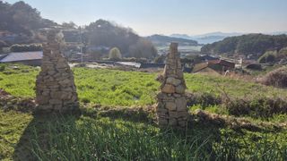 촌사리(김정대)님의 기타작물 · 영농일지 작성글 사진