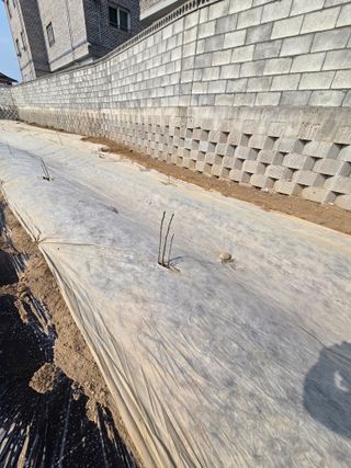 박병철님의 기타작물 · 영농일지 작성글 사진