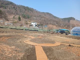 김홍중님의 두릅 · 영농일지 작성글 사진