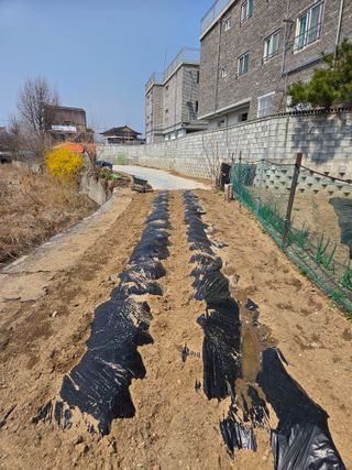 박병철님의 기타작물 · 영농일지 작성글 사진