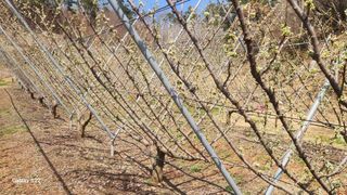 김준한님의 작성글 사진