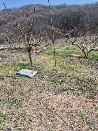 허민성님의 기타작물 · 영농일지 작성글 사진