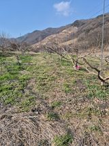 허민성님의 작성글 사진