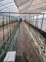 두릅나무16138님의 작성글 사진