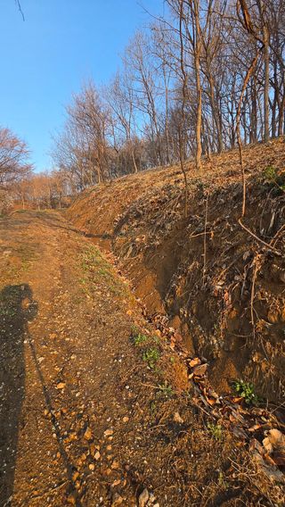 유니거니님의 기타작물 · 영농일지 작성글 사진