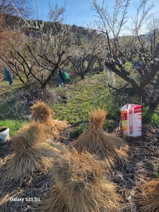 김 기 동님의 기타작물 · 영농일지 작성글 사진