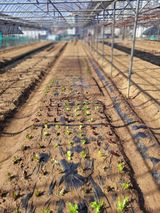 김춘성님의 작성글 사진