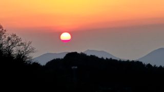 촌사리(김정대)님의 기타작물 · 영농일지 작성글 사진